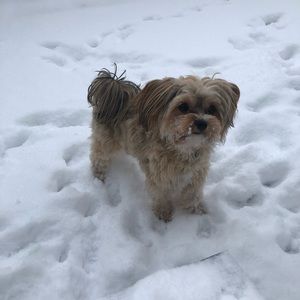 Meet your Posher, Rebecca